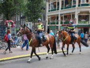 Gefährliche Viertel und Sicherheit in Amsterdam