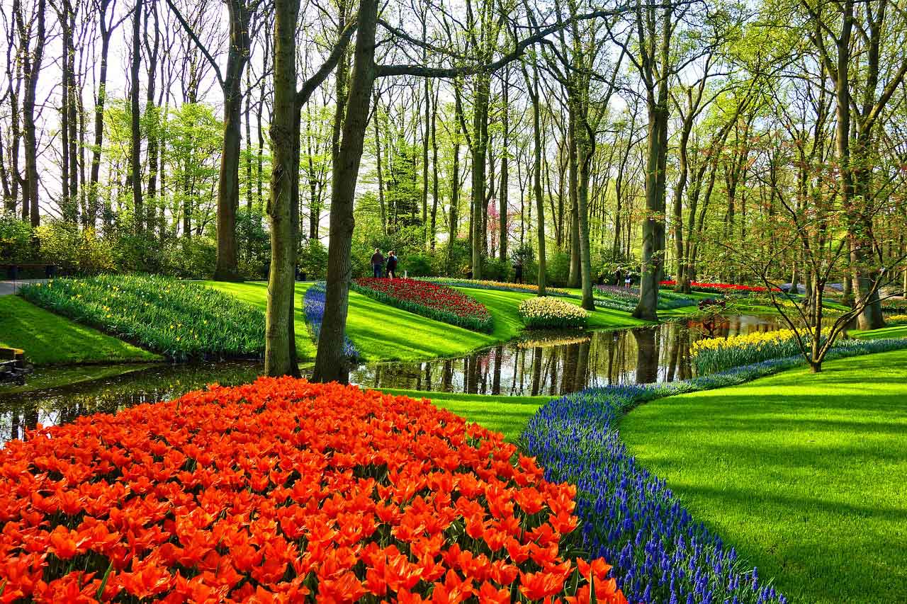 Keukenhof Holland 2025 Eintrittspreise &