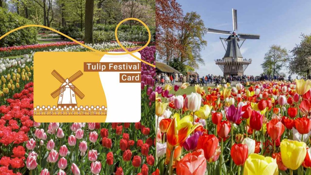 Tulpenfest-Karte