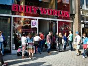 Körperwelten / Body Worlds in Amsterdam: The Happiness Project Bodyworlds Amsterdam
